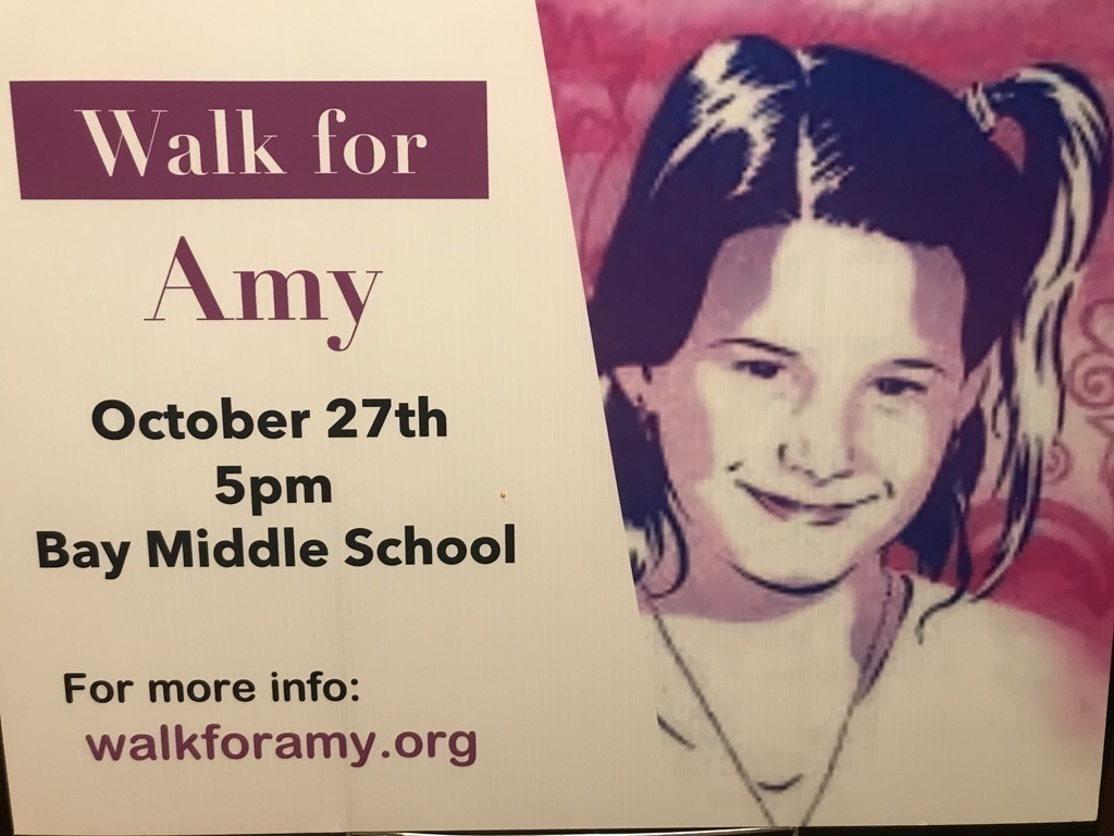 Walk for Amy Event